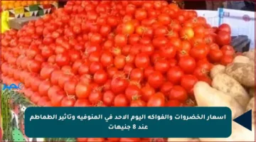 أسعار الخضروات والفواكه اليوم الأحد في المنوفية وتأثير الطماطم عند 8 جنيهات